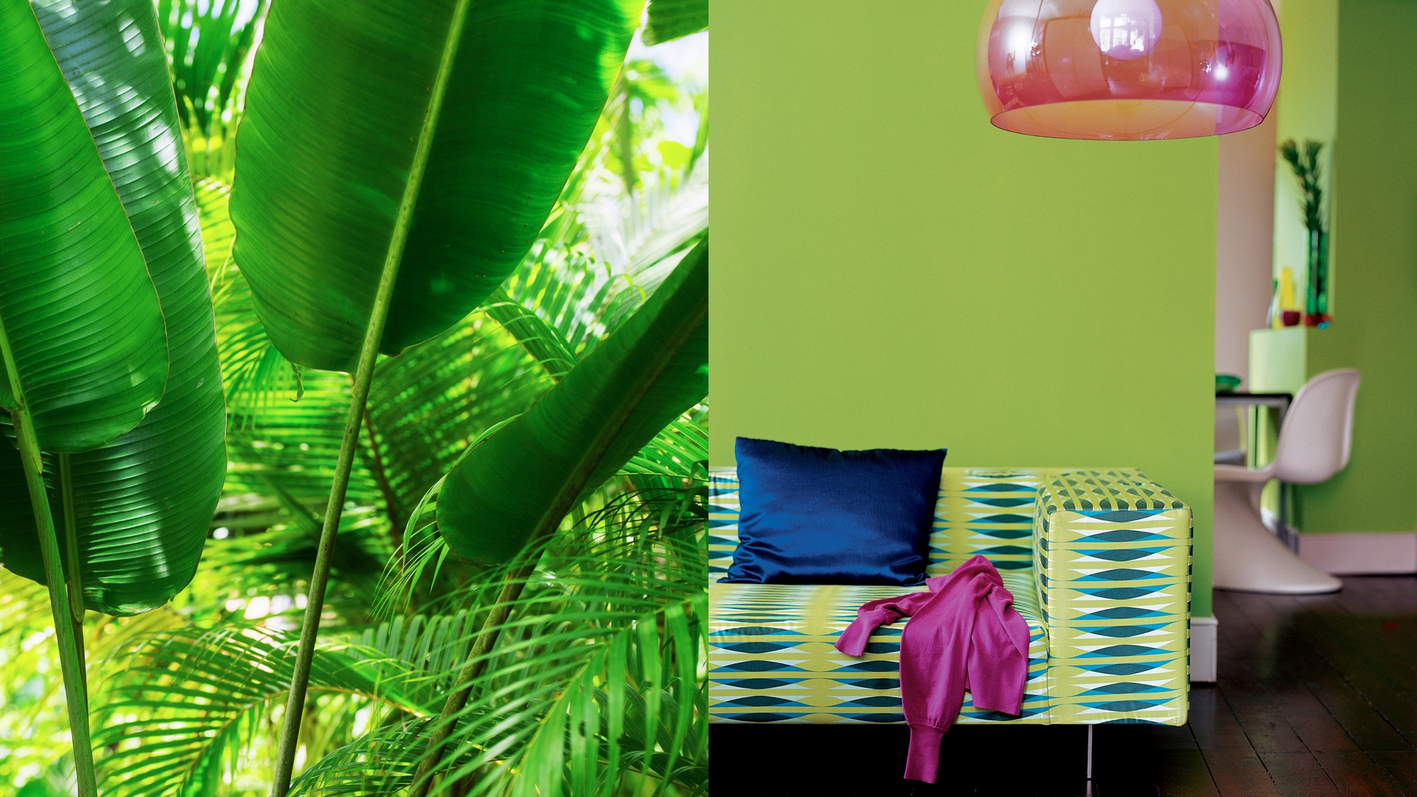 热带绿色中夹杂着鲜艳的重调色，如此色彩搭配为空间注入无限活力。