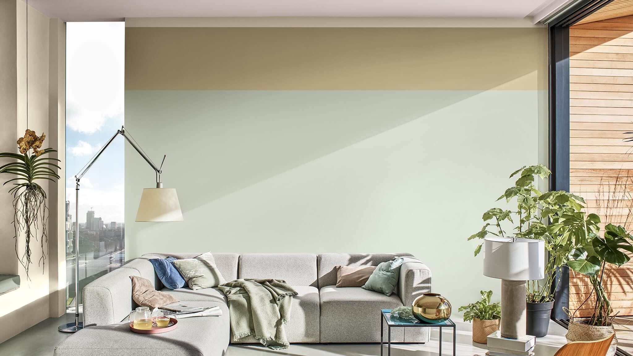 CF20_双色_房间_2