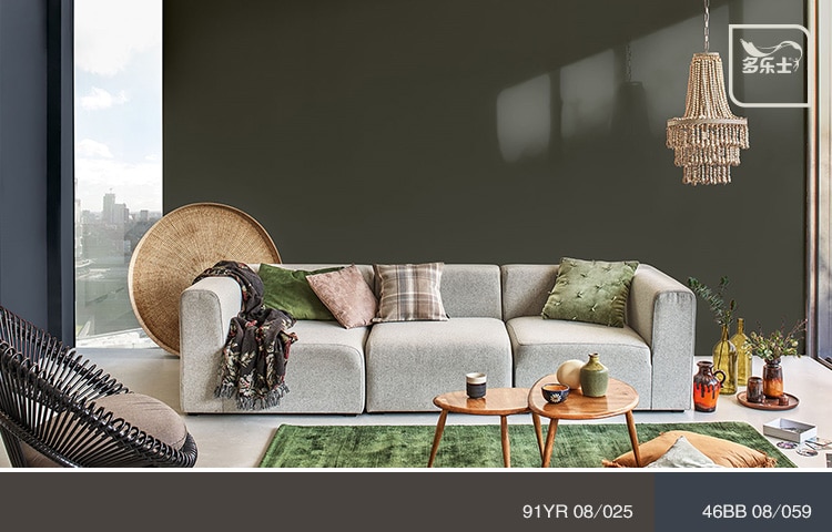 多乐士_深色 _起居室_1