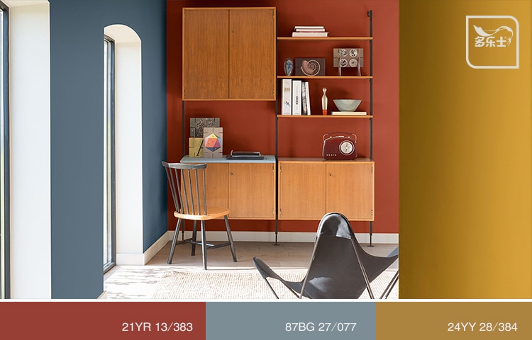 多乐士_深色系_3