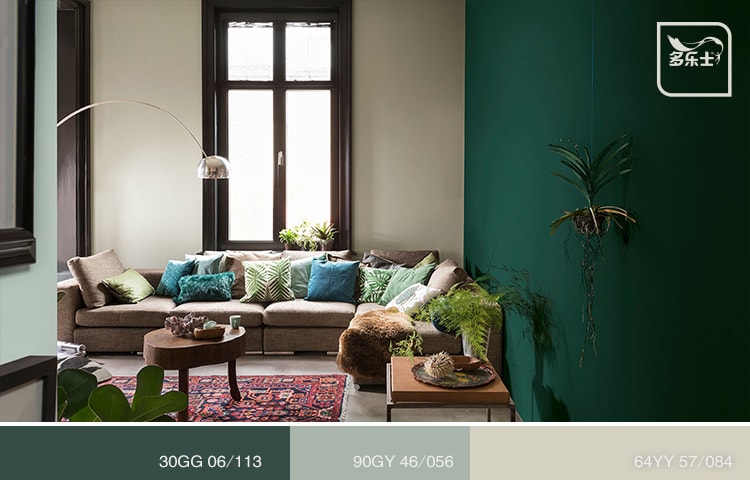 多乐士_深色系_起居室