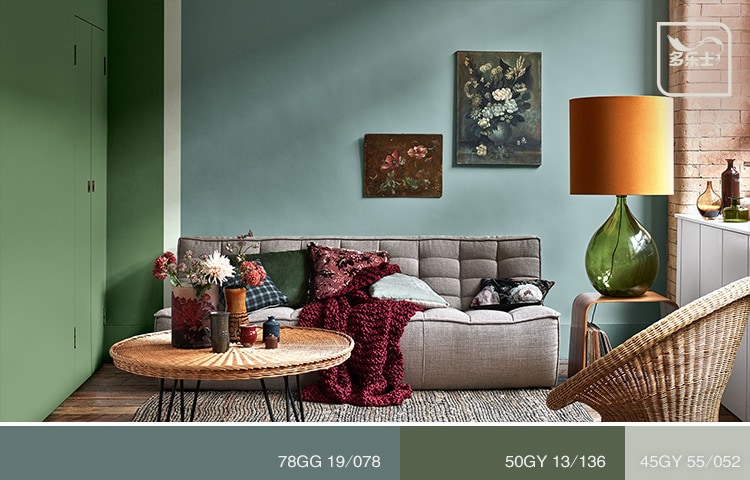 多乐士_深色系_起居室_5